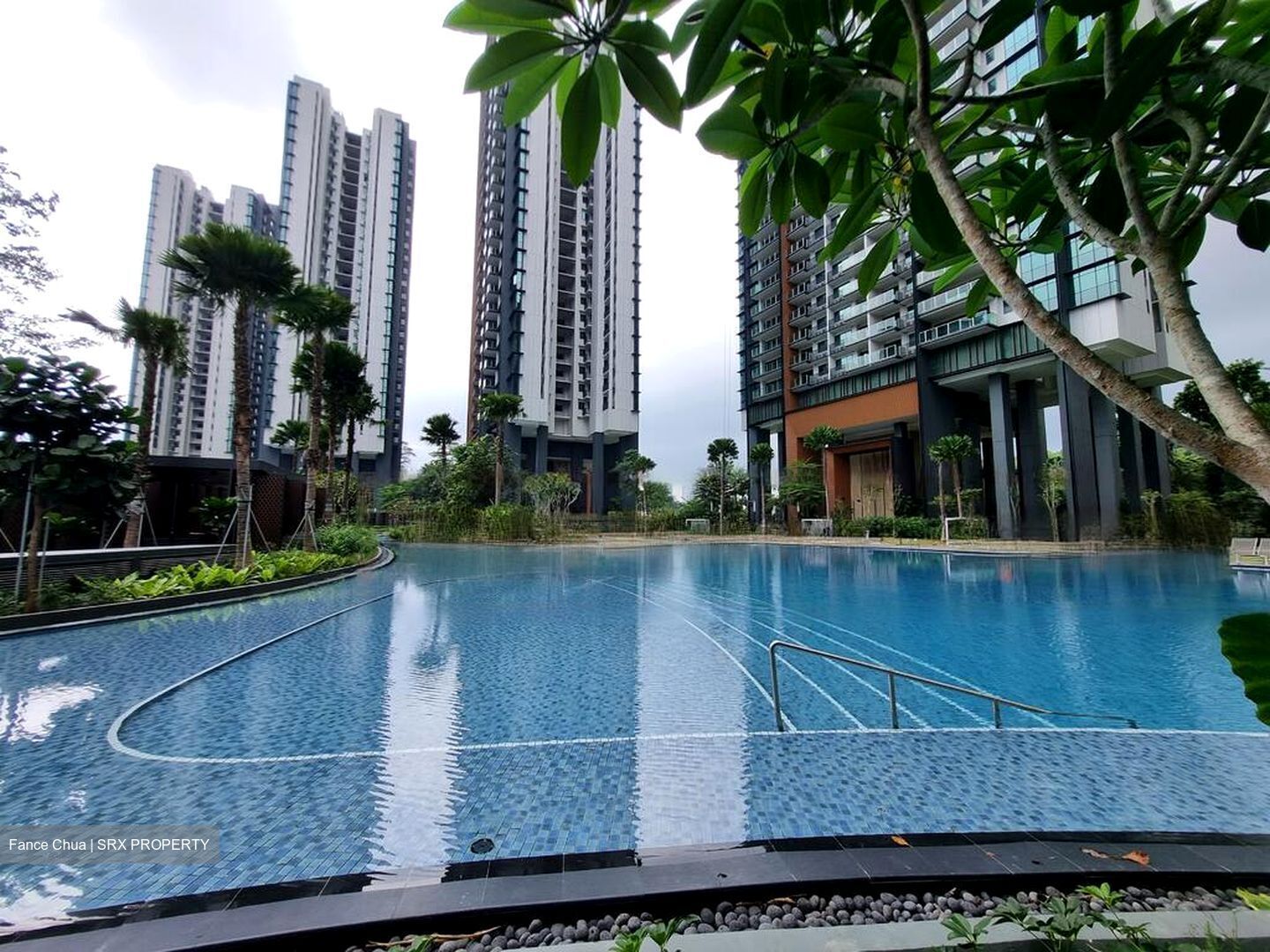 Normanton Park (D5), Apartment #477274111